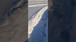 Отзыв владельца чехла для шуруповерта Метабо (Metabo)