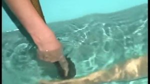 Гидромассаж