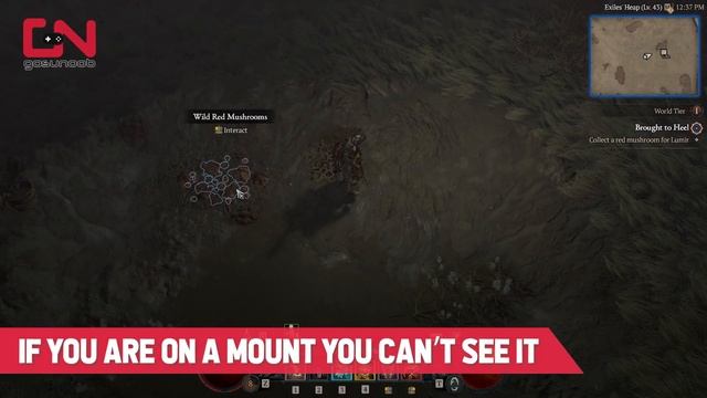 How to Collect a Red Mushroom for Lumir in Diablo 4 - Brought to Heel Quest смотреть онлайн
