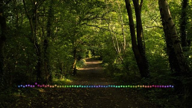 Раисат Курбанова -  Баркалла дарган урши 2023