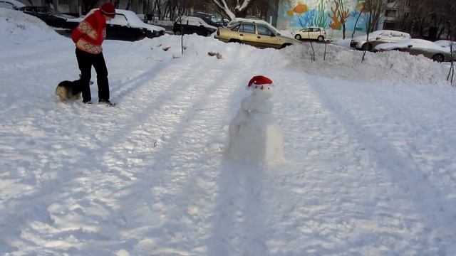 Новогодний корги-танец смотреть онлайн