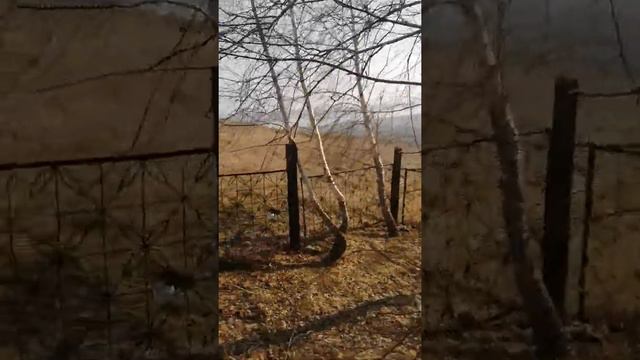 Где нет карона вируса. Как и где провести время в самоизоляции. Кубашова Камилла смотреть онлайн