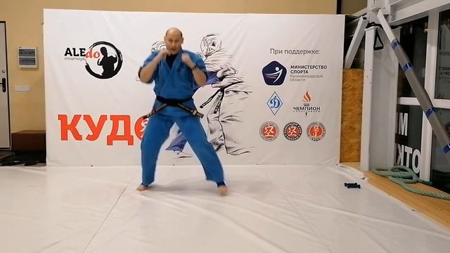 Тренируемся сами: Бой с тенью / Training Alone: Shadow Fight