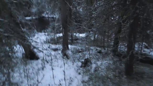 на пару дней в тайгу неужели зима пришла смотреть онлайн