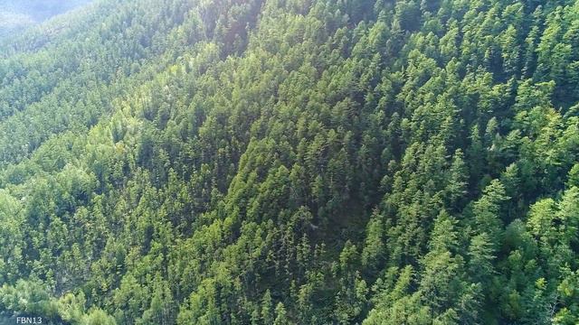 прогулка на водопад смотреть онлайн