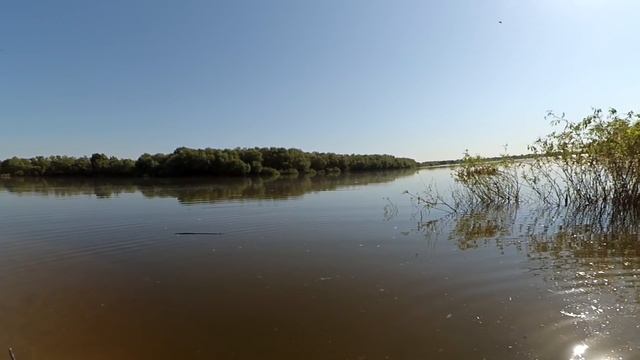 Ловля сома на Квок ночью и на рассвете, Ахтуба база Селитрон 2018 смотреть онлайн