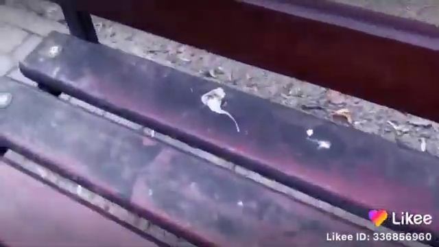 подарки не оружие А может меня смотри страница с чем будет готовить новогодние салаты смотреть онлайн