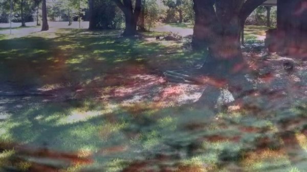 Rokia Traoré-- Strange Fruit