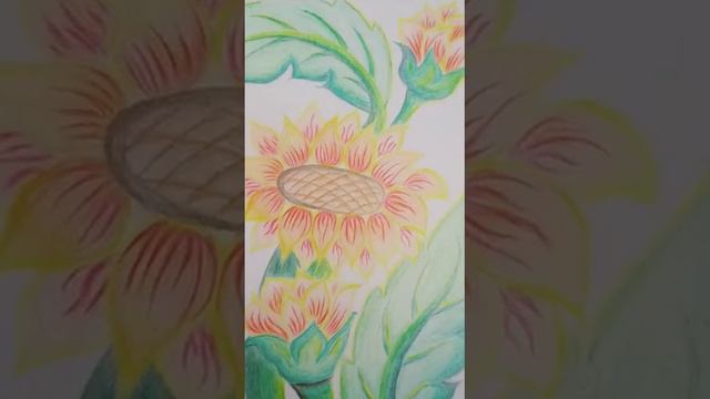 beautiful pictures of sunflower #viral смотреть онлайн