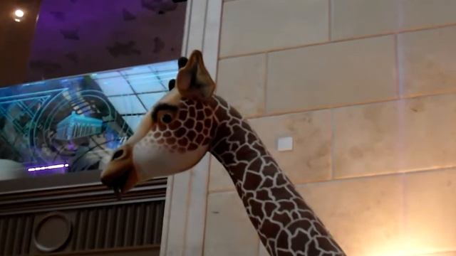 Очень длинношеее животное, под чудным названием -"Жираф". смотреть онлайн