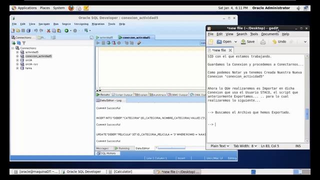 Exportacion e Importacion de Un Esquema -- Programacion SQL en SqlDeveloper - Oracle 11g смотреть онлайн