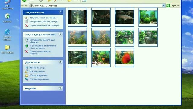 Основы работы на ПК WindowsXP 28 Копирование фото смотреть онлайн