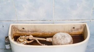 Чем почистить бачок унитаза внутри в домашних условиях -народными средствами