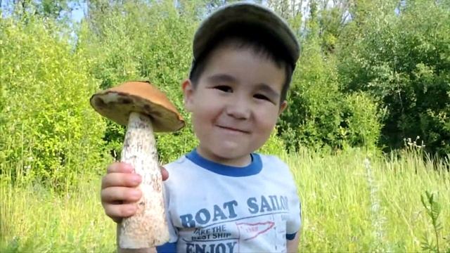 ГДЕ и КОГДА собирать ЗЕМЛЯНИКУ и КЛУБНИКУ #папиновоспитание смотреть онлайн