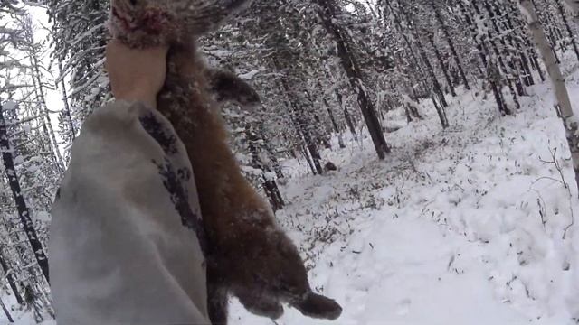 выход второй смотреть онлайн