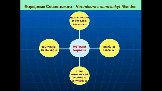 «Инвазивные растения Карелии – зелёные пришельцы» смотреть онлайн