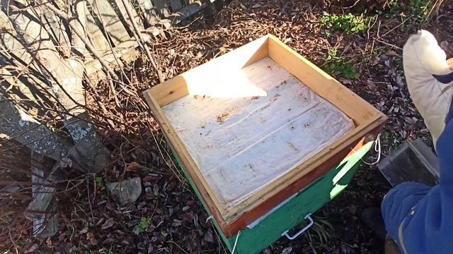 🐝🐝осмотр состояния пчелосемей перед постановкой в #омшанник. #bee #omshanik #beekeeping