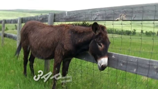 10 Стран, в Которых Вам Заплатят за Проживание смотреть онлайн