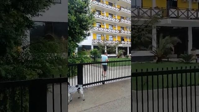 АБХАЗИЯ, ПИЦУНДА, Отель Апсара смотреть онлайн