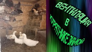 Вентиляция в курятнике ЗИМОЙ-Ventilation in the chicken coop in WINTER