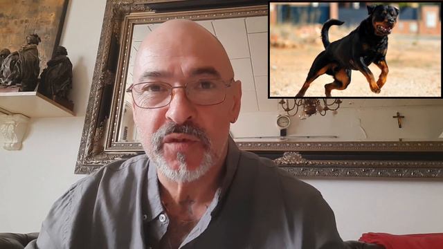 Rottweiler - Du Kannst Hier Nicht Rein!