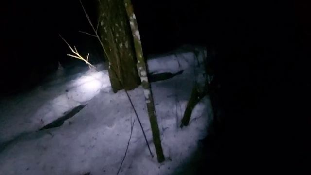 Ночной выход с лайками смотреть онлайн