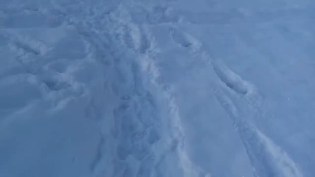 Голубые озера.... Глаза Катуни. Зимой. Алтай. смотреть онлайн