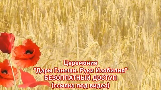 МЕЖГАЛАКТИЧЕСКИЙ ЯЗЫК-ченнелинг смотреть онлайн