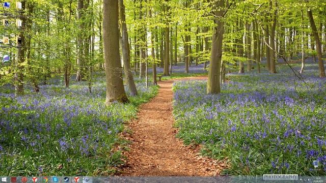 бесплатный трафик мегафон