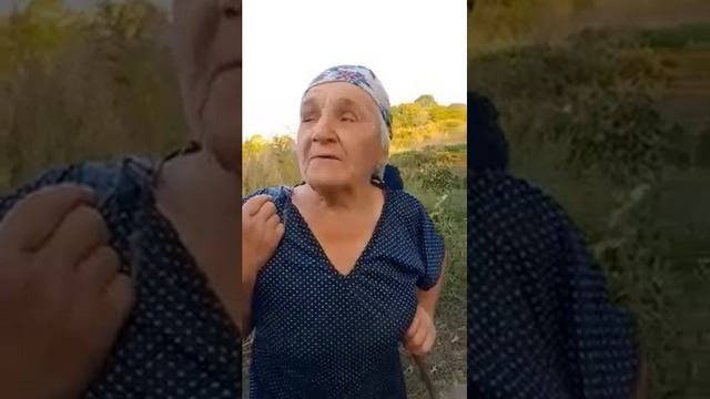 Про сливи угорки, венгерки і синенькі смотреть онлайн