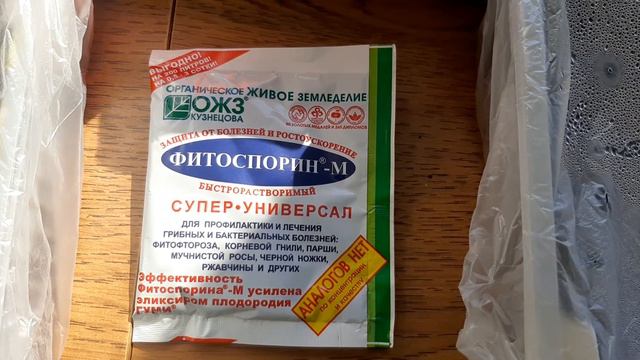 Гибель рассады Как остановить?