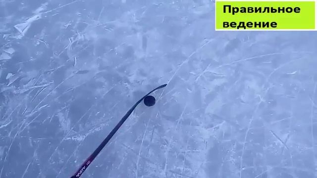 Видеоурок #1. Дриблинг или ведение шайбы в хоккее. смотреть онлайн