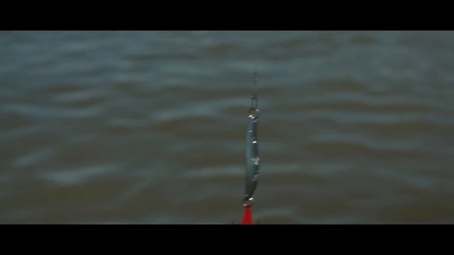 4K Дикий клев рыбы в Астрахане весной часть 1 жерех сазан лещ вобла смотреть онлайн