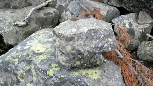 Школа бизнеса Прогресс Путешествие по Байкалу