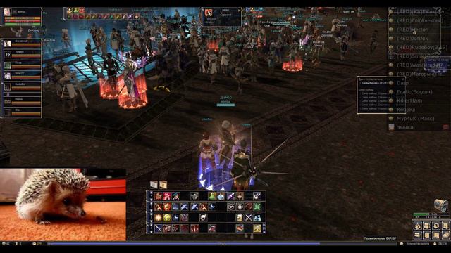 BSFG.RU Клан RedBull