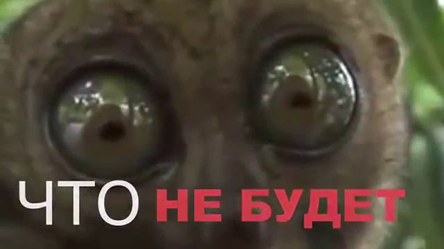 ЗАРПЛАТЫ НЕ БУДЕТ ? ЧТО ДЕЛАТЬ ? смотреть онлайн