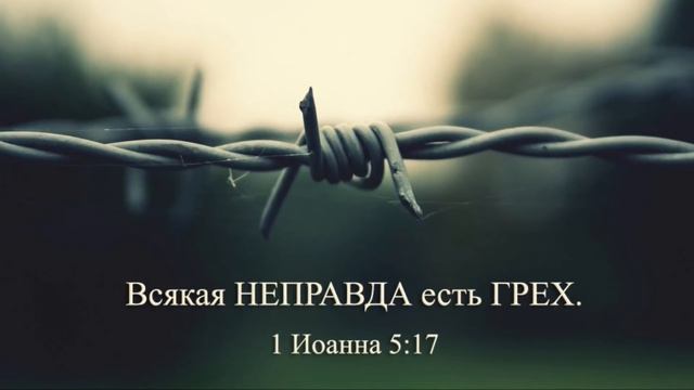 Не покидай меня - SokolovBrothers смотреть онлайн