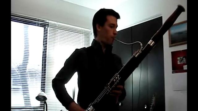 Little Loop for electric bassoon смотреть онлайн
