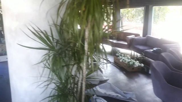 ресторан Гавана