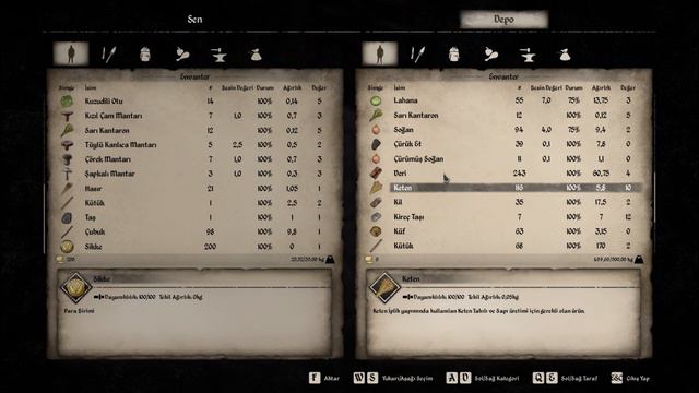 Sonunda Evlendik | Medieval Dynasty v0.2.0.2 Türkçe Oynanış | 22. Bölüm смотреть онлайн