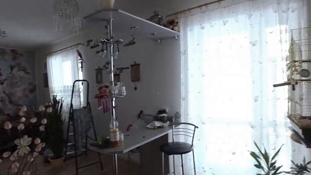 МОЛОДЫЕ И КРАСИВЫЕ ЖЕНЩИНЫ ПОДАРИЛИ ПОДАРОК! 18-19.12.21 смотреть онлайн