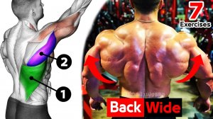 ? Как быстро накачать спину (7 эффективных упражнений)