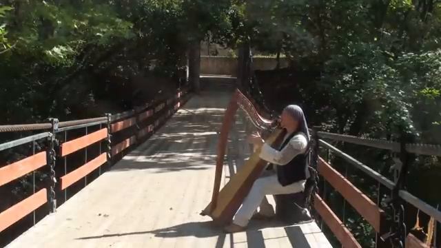 Alizbar. Celtic harp / Whispering of stars / Шепот Звезд / Кельтская арфа / Кишинев Долина Роз смотреть онлайн