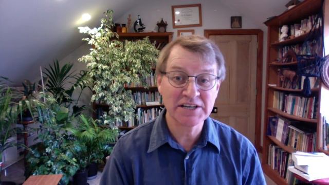Can I Use Wasabi Powder To Kill Parasites In My Gut? смотреть онлайн