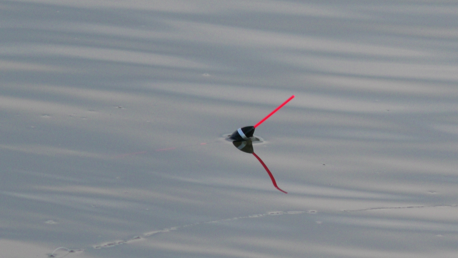 Рыбалка на вечерней зорьке. Ловля на поплавок смотреть онлайн