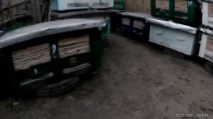 Решили завести пчел а соседской участок близко? Как избежать ссор с соседями