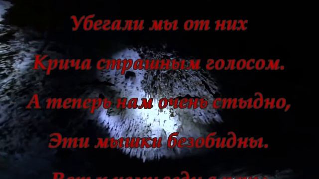 Международная ночь летучих мышей смотреть онлайн