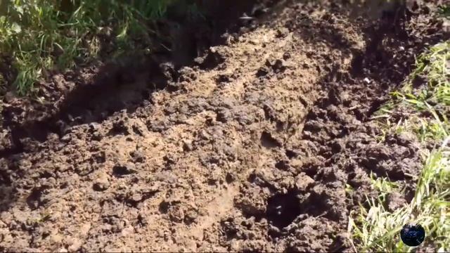 В сушь на Стелс Гепард смотреть онлайн