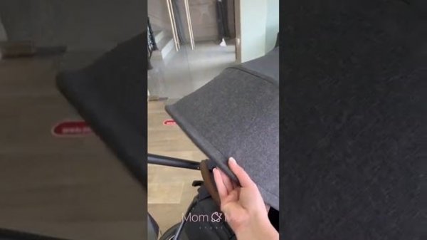 Новинка ABC Design Swing 2023