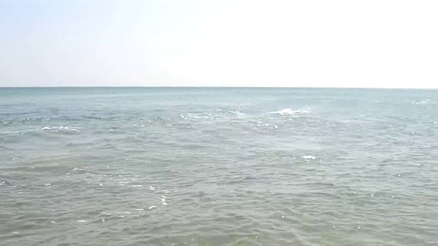 Крым дельфины смотреть онлайн